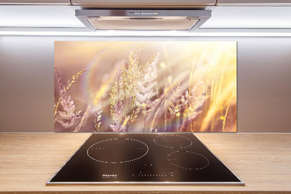 Achterwand keuken Hoog gras