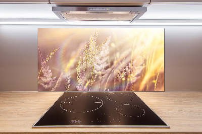 Achterwand keuken Hoog gras