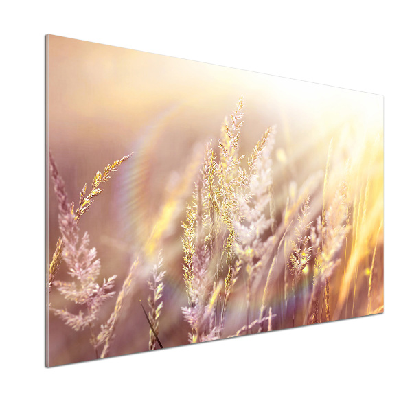 Achterwand keuken Hoog gras