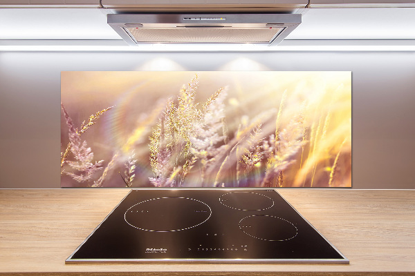 Achterwand keuken Hoog gras