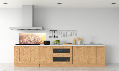 Achterwand keuken Hoog gras