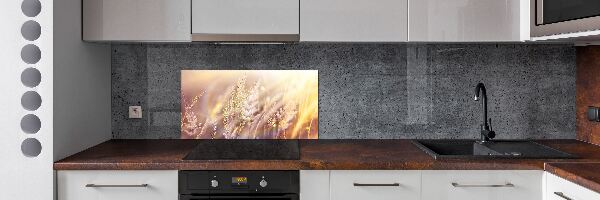 Achterwand keuken Hoog gras