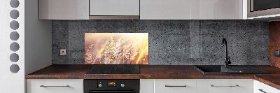 Achterwand keuken Hoog gras