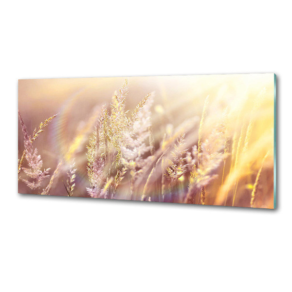 Achterwand keuken Hoog gras