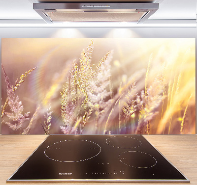 Achterwand keuken Hoog gras