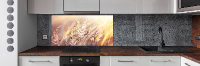 Achterwand keuken Hoog gras