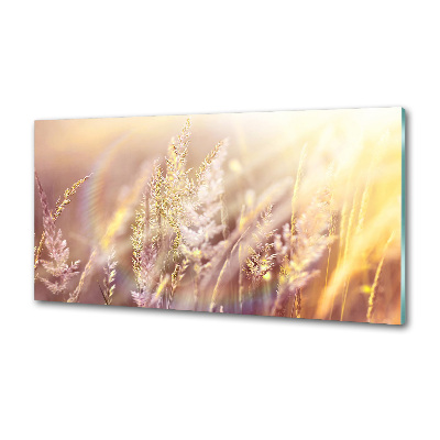 Achterwand keuken Hoog gras