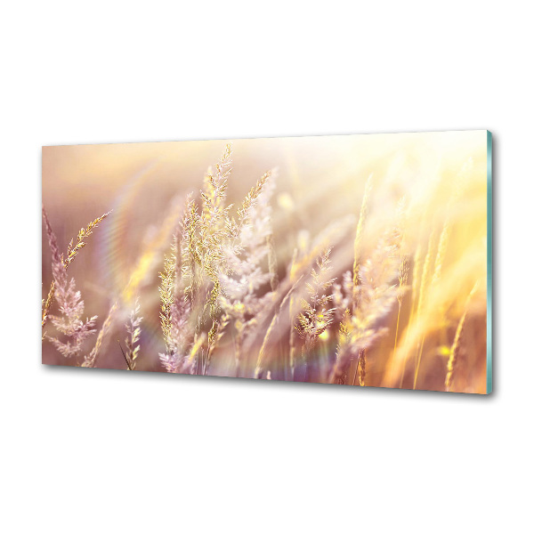 Achterwand keuken Hoog gras