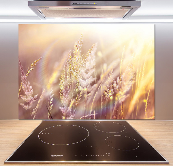 Achterwand keuken Hoog gras