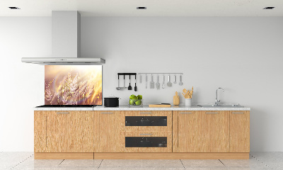Achterwand keuken Hoog gras