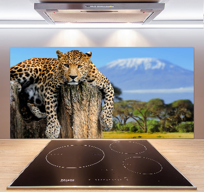 Achterwand keuken Luipaard op een boomstronk