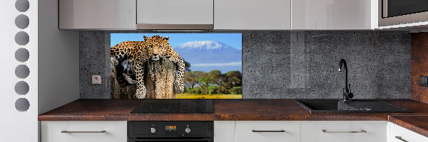 Achterwand keuken Luipaard op een boomstronk