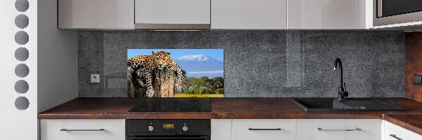 Achterwand keuken Luipaard op een boomstronk