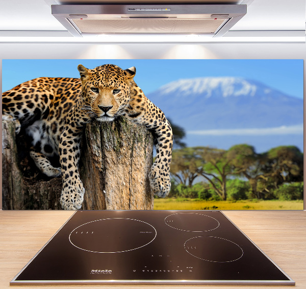 Achterwand keuken Luipaard op een boomstronk