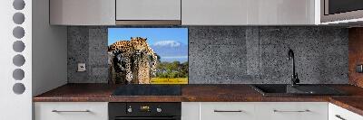 Achterwand keuken Luipaard op een boomstronk