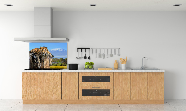 Achterwand keuken Luipaard op een boomstronk