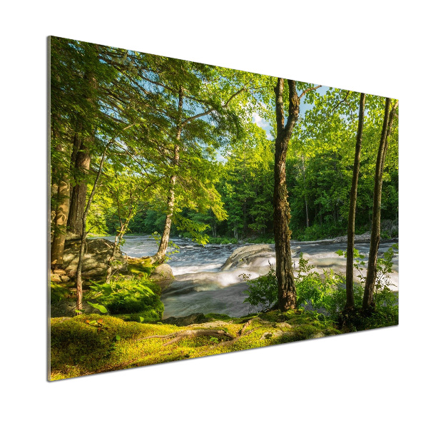 Spatscherm keuken Rivier in het bos