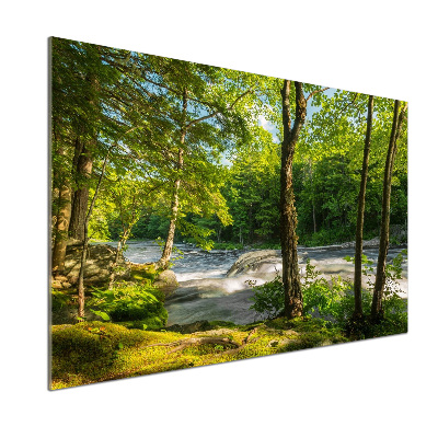Spatscherm keuken Rivier in het bos