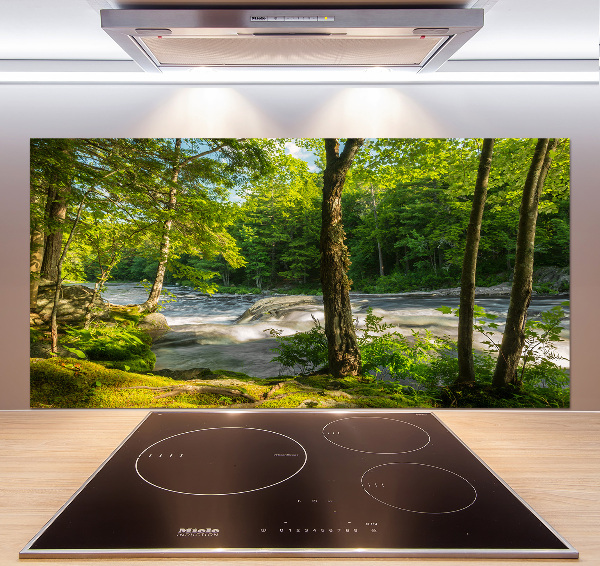 Spatscherm keuken Rivier in het bos