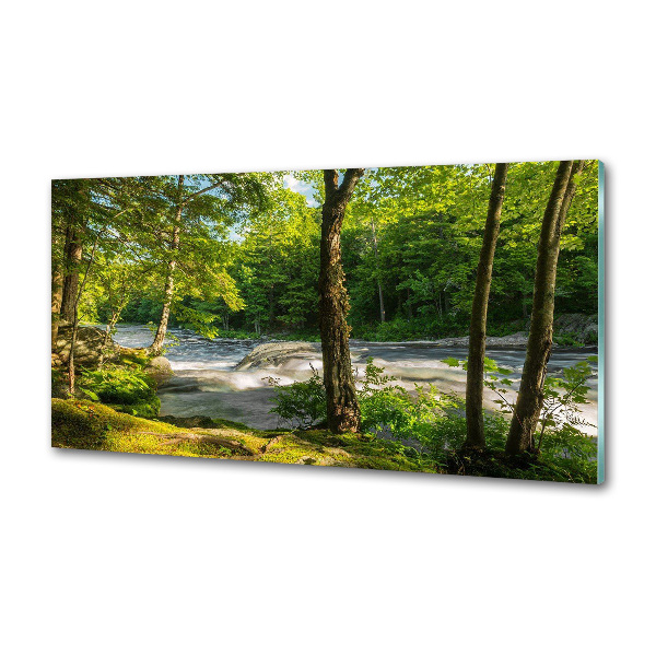 Spatscherm keuken Rivier in het bos
