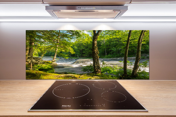Spatscherm keuken Rivier in het bos
