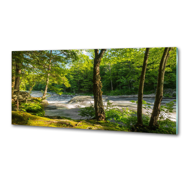 Spatscherm keuken Rivier in het bos