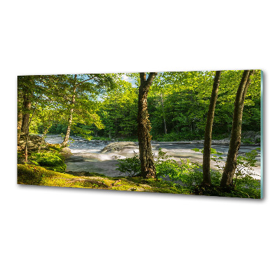 Spatscherm keuken Rivier in het bos