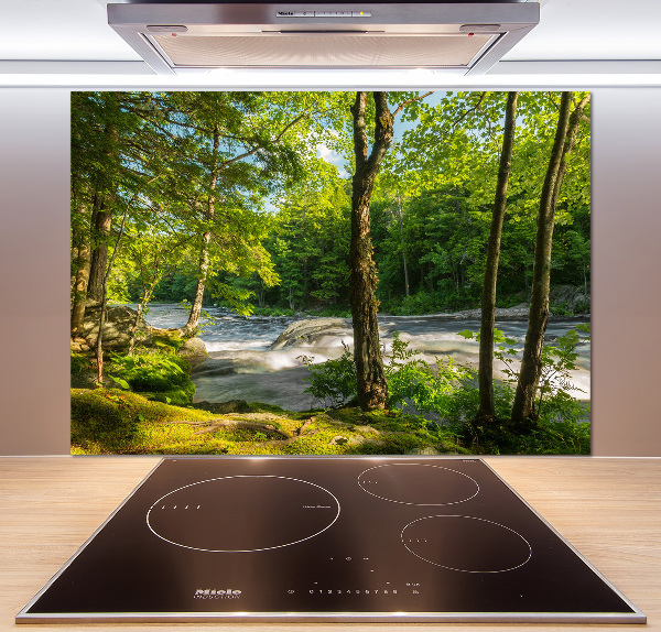 Spatscherm keuken Rivier in het bos