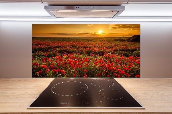 Spatplaat keuken Klaprozenveld