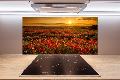 Spatplaat keuken Klaprozenveld