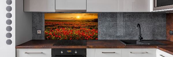 Spatplaat keuken Klaprozenveld