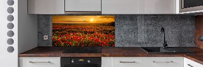 Spatplaat keuken Klaprozenveld