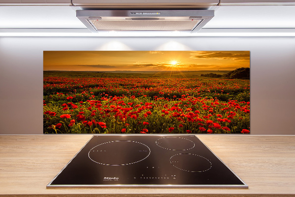 Spatplaat keuken Klaprozenveld