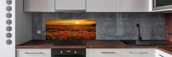 Spatplaat keuken Klaprozenveld