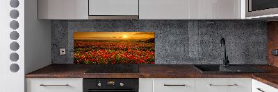 Spatplaat keuken Klaprozenveld