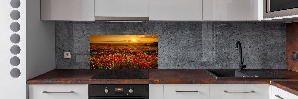 Spatplaat keuken Klaprozenveld