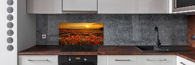 Spatplaat keuken Klaprozenveld
