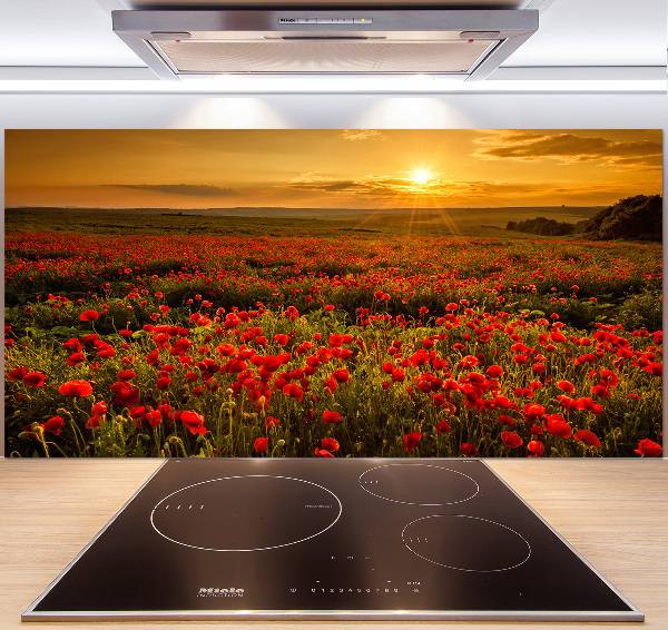 Spatplaat keuken Klaprozenveld