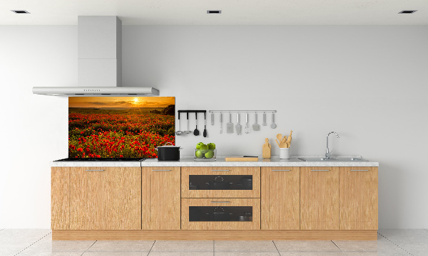 Spatplaat keuken Klaprozenveld