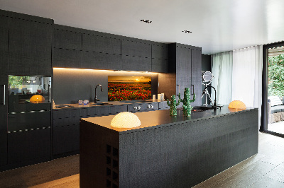Spatplaat keuken Klaprozenveld