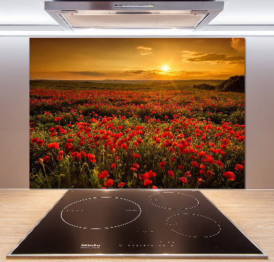 Spatplaat keuken Klaprozenveld