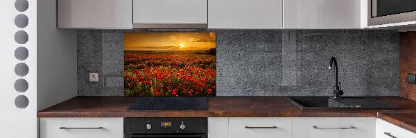 Spatplaat keuken Klaprozenveld