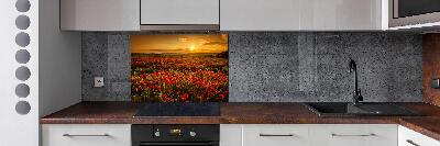 Spatplaat keuken Klaprozenveld