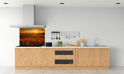 Spatplaat keuken Klaprozenveld