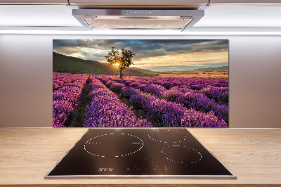 Keuken achterwand Lavendelveld