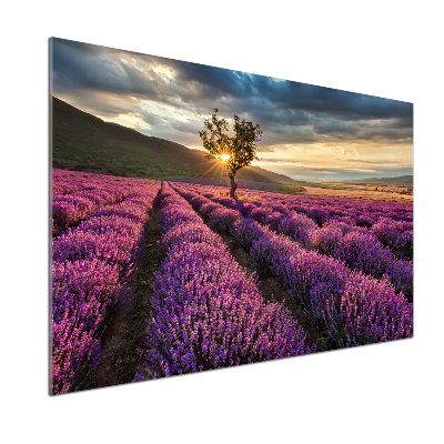 Keuken achterwand Lavendelveld