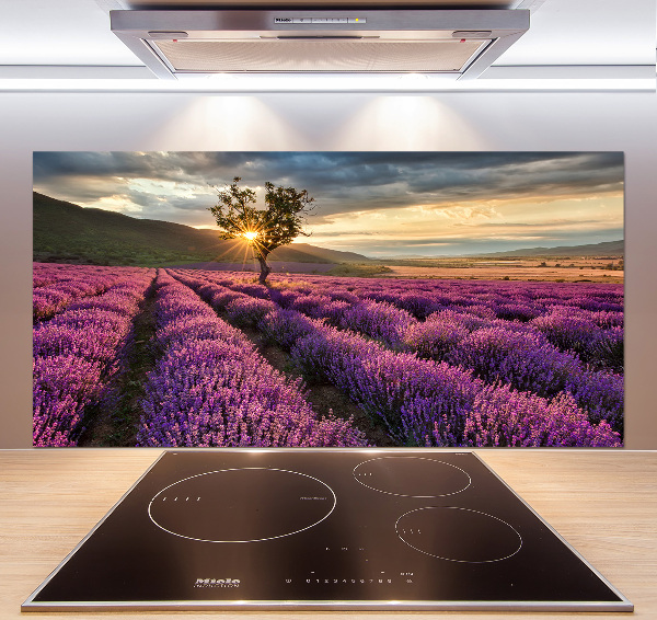 Keuken achterwand Lavendelveld