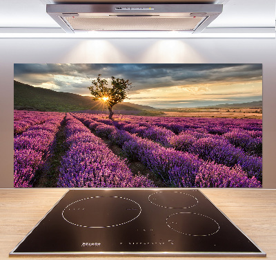 Keuken achterwand Lavendelveld