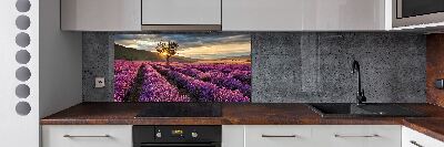 Keuken achterwand Lavendelveld