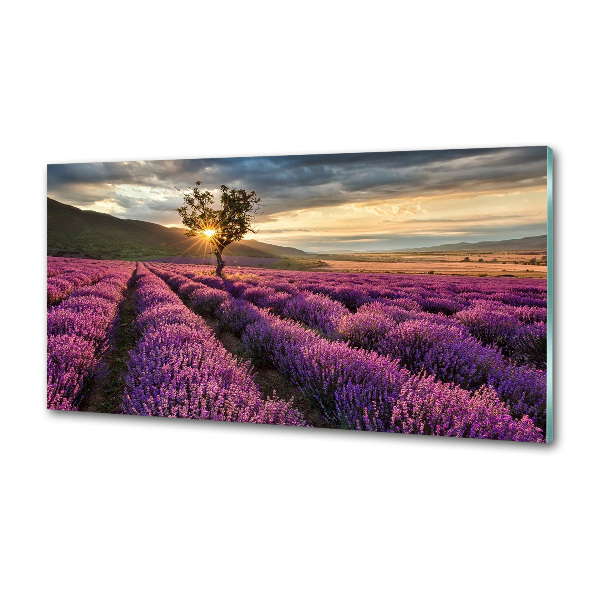 Keuken achterwand Lavendelveld